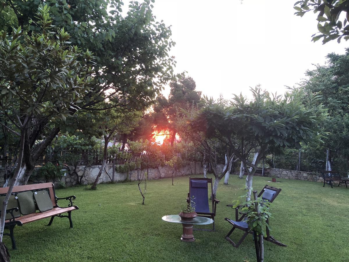 Villa Maira Afytos Bagian luar foto