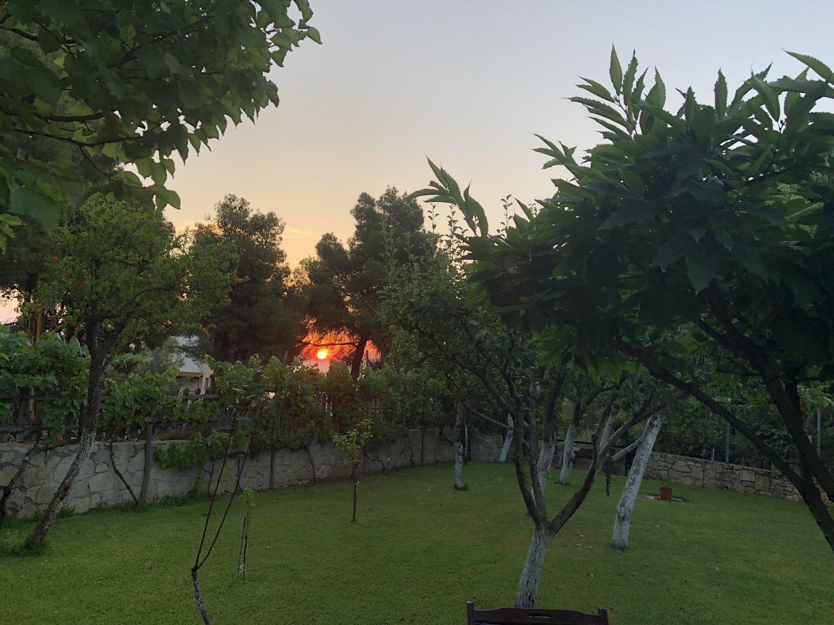 Villa Maira Afytos Bagian luar foto