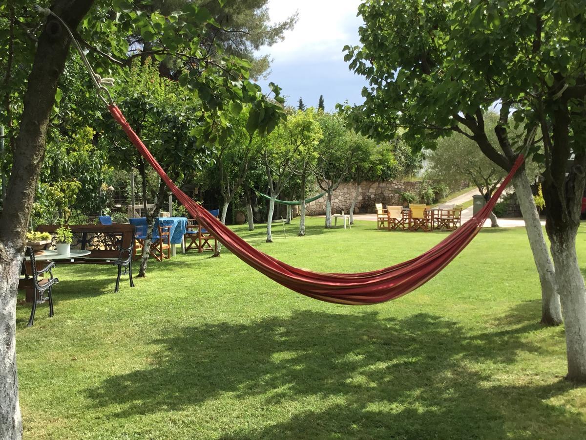 Villa Maira Afytos Bagian luar foto