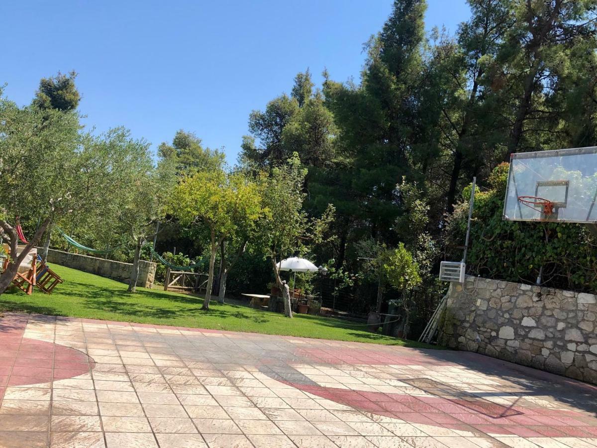 Villa Maira Afytos Bagian luar foto